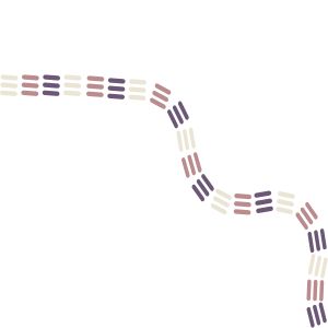 Stacks Image 62
