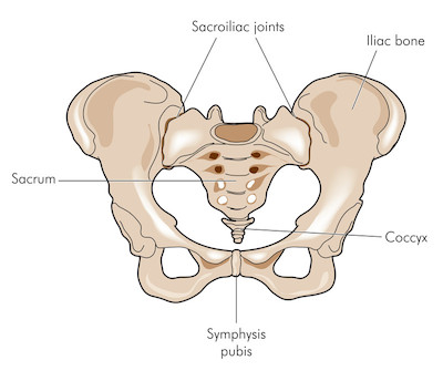 Sacroiliac Joint Diagram